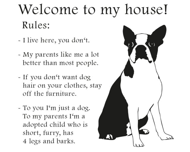 Wandtattoo Boston Terrier Rules