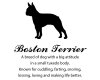 Wandtattoo "Boston Terrier"