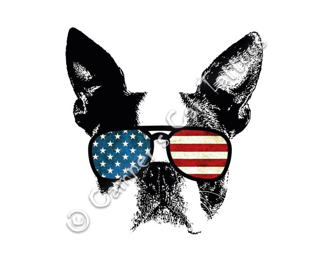 Campers Car Tattoo "Boston Terrier USA", 2...