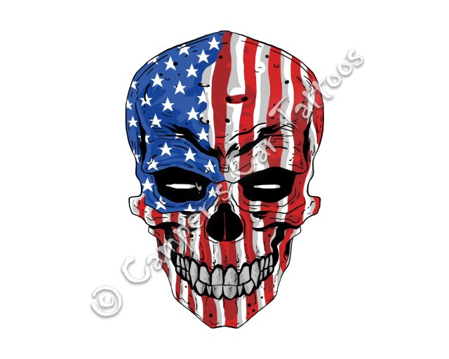Campers Car Tattoo USA Skull, 2 Stück